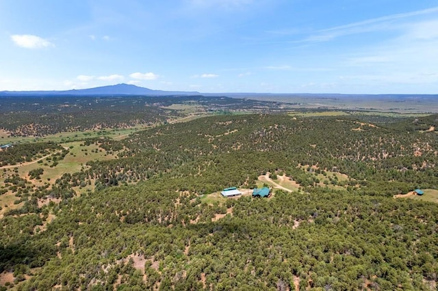 1035 Spanish Peaks Dr, Walsenburg, CO 81089 - photo 91