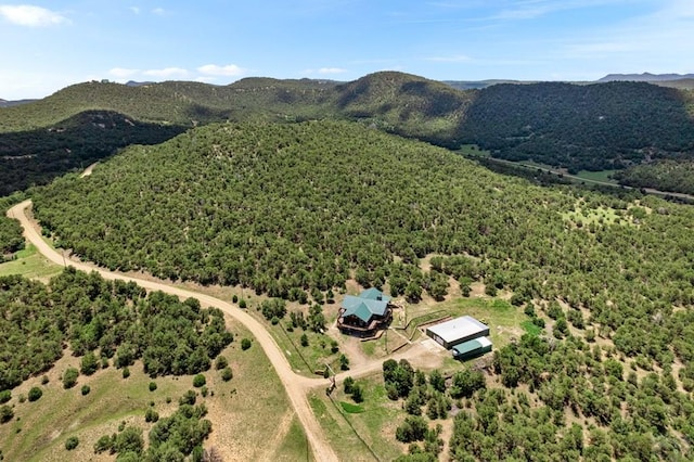 1035 Spanish Peaks Dr, Walsenburg, CO 81089 - photo 74