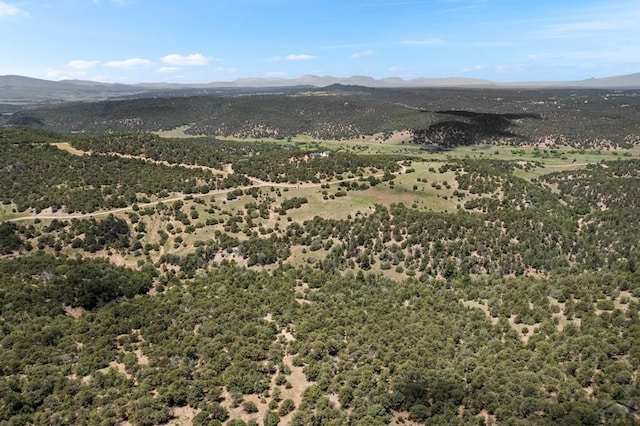 1035 Spanish Peaks Dr, Walsenburg, CO 81089 - photo 84