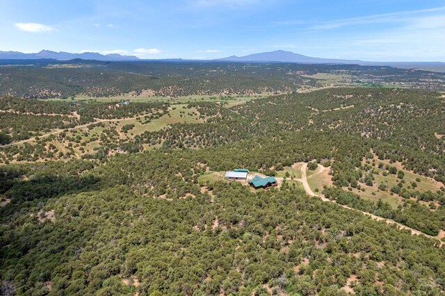 1035 Spanish Peaks Dr, Walsenburg, CO 81089 - photo 92