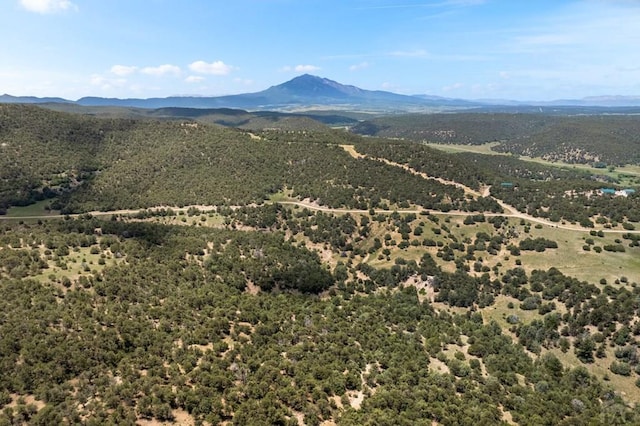 1035 Spanish Peaks Dr, Walsenburg, CO 81089 - photo 85