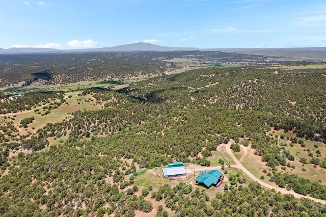 1035 Spanish Peaks Dr, Walsenburg, CO 81089 - photo 80