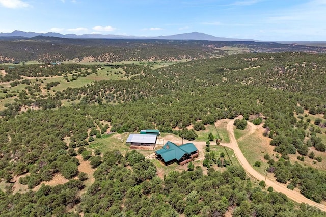 1035 Spanish Peaks Dr, Walsenburg, CO 81089 - photo 70