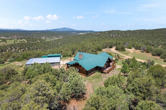 1035 Spanish Peaks Dr, Walsenburg, CO 81089 - photo 65