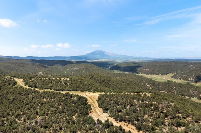 1035 Spanish Peaks Dr, Walsenburg, CO 81089 - photo 87