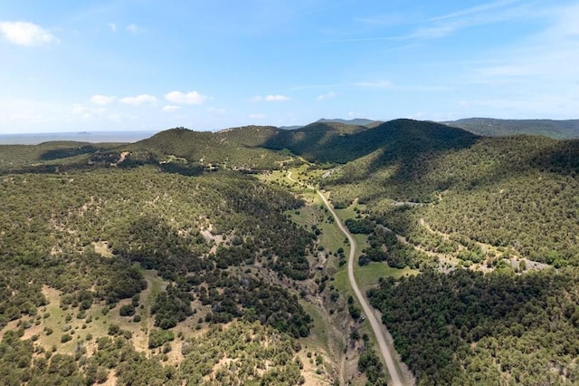 1035 Spanish Peaks Dr, Walsenburg, CO 81089 - photo 89