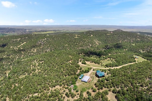 1035 Spanish Peaks Dr, Walsenburg, CO 81089 - photo 79