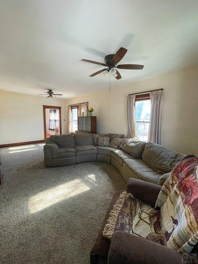 living area featuring a ceiling fan, carpet, and baseboards