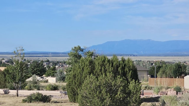 562 S Ferncliff Dr, Pueblo West, CO 81007 - photo 37