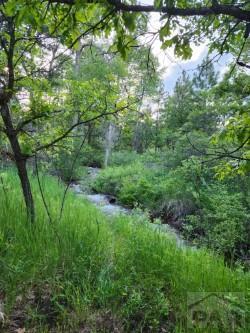 8149 Patti Dr, Rye, CO 81069 - photo 23