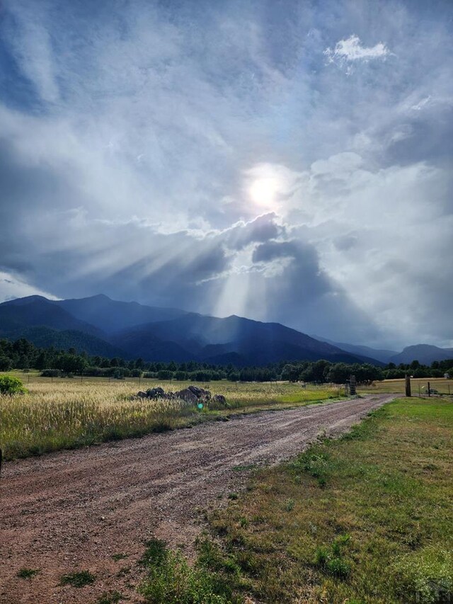 8149 Patti Dr, Rye, CO 81069 - photo 38