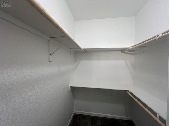 view of walk in closet