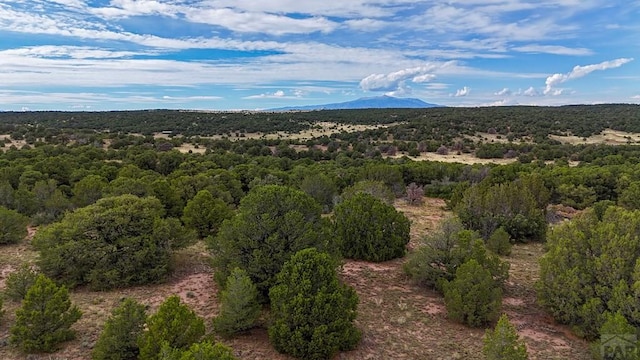 LOT79 Comanche, Walsenburg, CO 81089