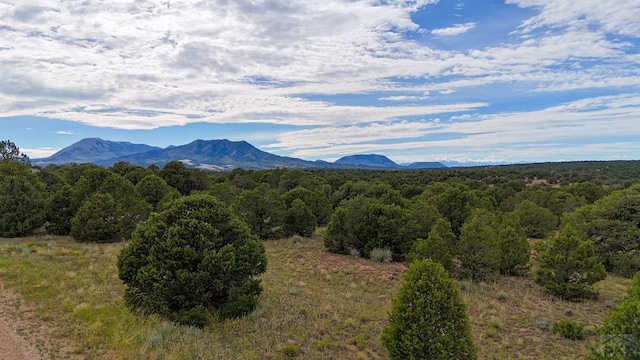 LOT79 Comanche, Walsenburg, CO 81089