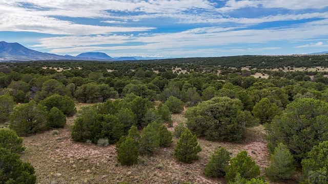 Listing photo 3 for LOT79 Comanche, Walsenburg CO 81089