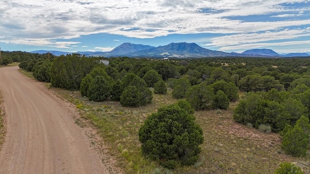 LOT79 Comanche, Walsenburg, CO 81089