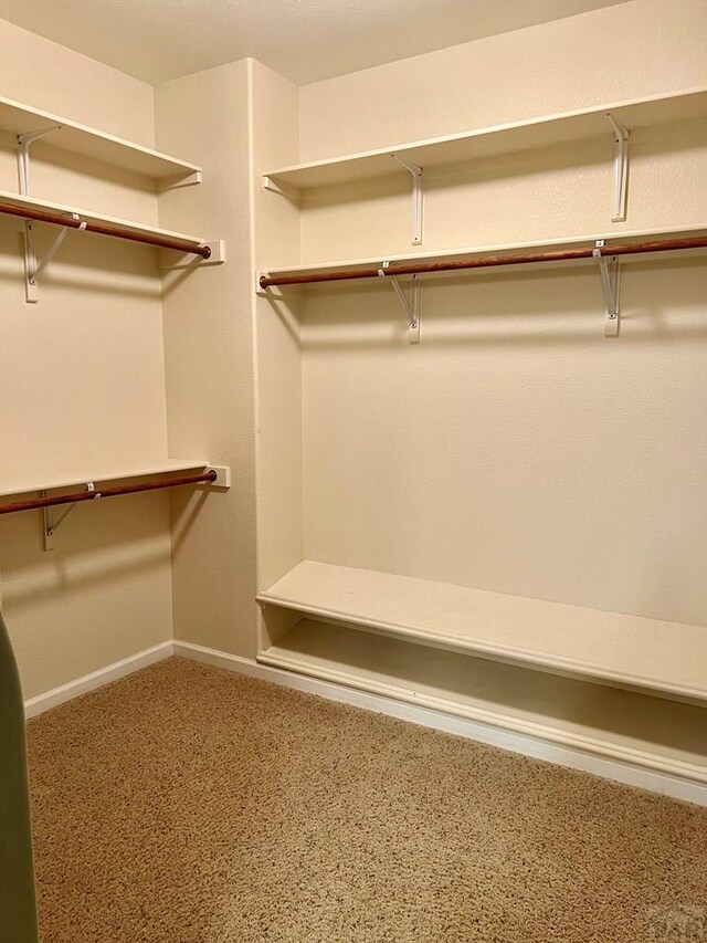 view of spacious closet