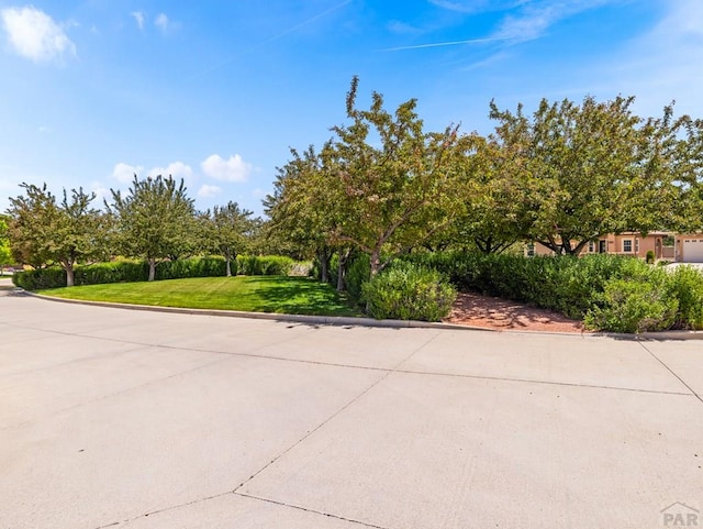 5522 Ventana Ct, Pueblo, CO 81005 - view of concrete road featuring curbs