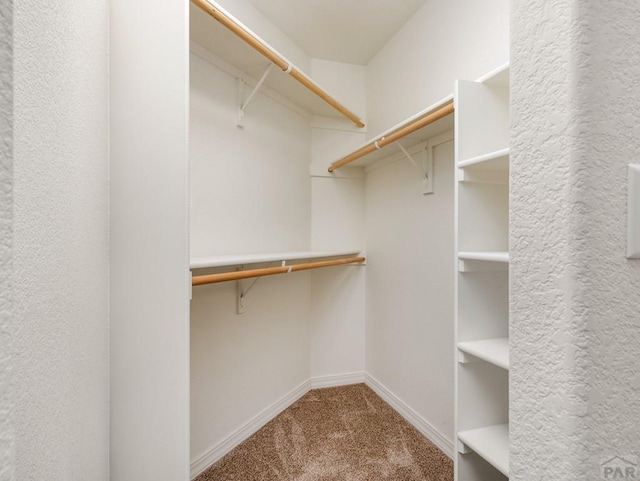 5522 Ventana Ct, Pueblo, CO 81005 - walk in closet featuring carpet