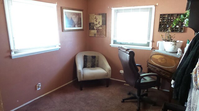 carpeted office featuring baseboards