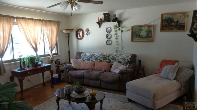 living area featuring ceiling fan and wood finished floors