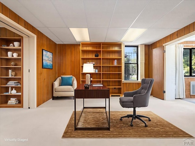 215 E Pitkin Ave, Pueblo, CO 81004 - office space with wooden walls and carpet floors