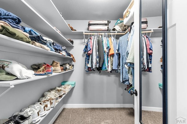1207 N Jon Ln, Pueblo West, CO 81007 - spacious closet featuring carpet