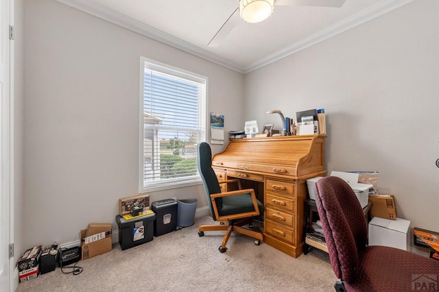 999 Fortino Blvd Unit 237, Pueblo, CO 81008 - home office featuring crown molding and light carpet