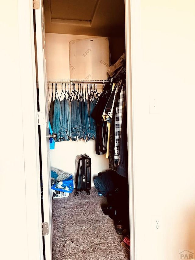 walk in closet with attic access and carpet