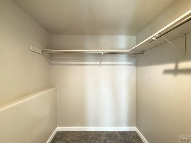326 W Golden Eagle Way Unit 328, Pueblo West, CO 81007 - spacious closet with carpet
