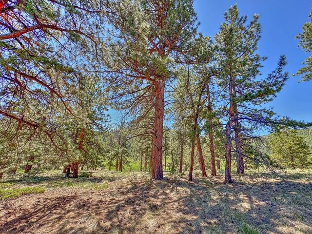 5029 Eagle Springs Rd, Westcliffe, CO 81252