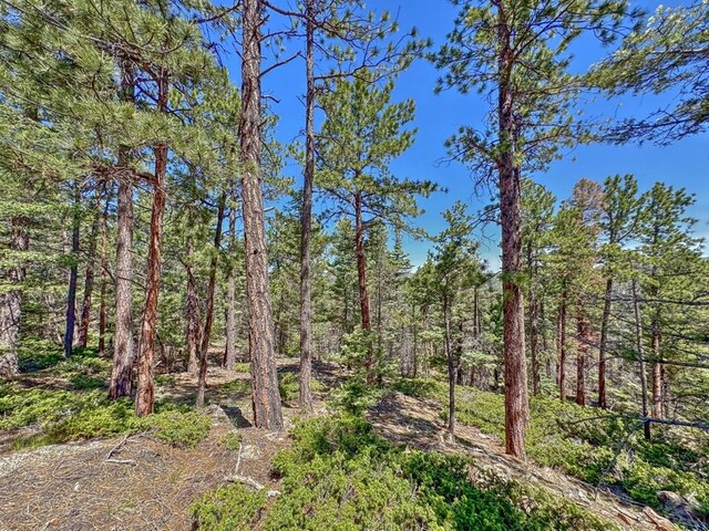 5029 Eagle Springs Rd, Westcliffe, CO 81252