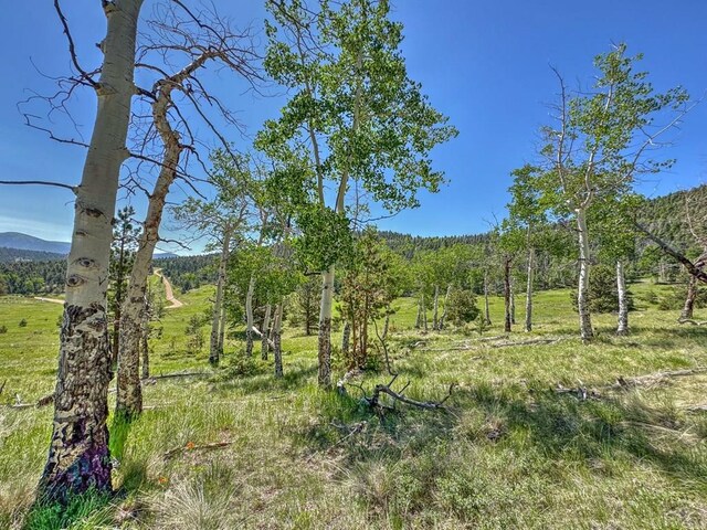5029 Eagle Springs Rd, Westcliffe, CO 81252