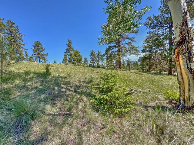 5029 Eagle Springs Rd, Westcliffe, CO 81252