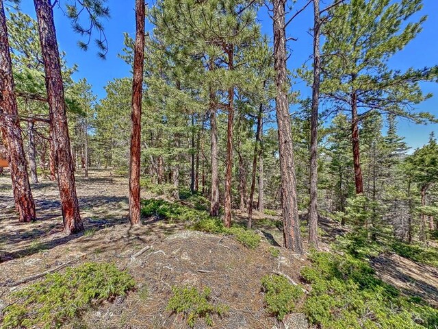 5029 Eagle Springs Rd, Westcliffe, CO 81252