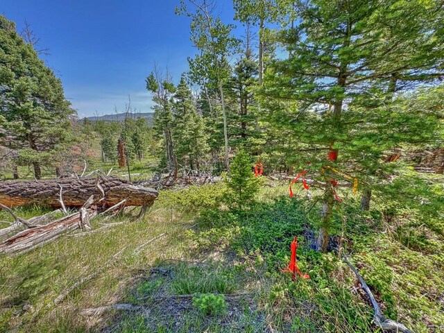 5029 Eagle Springs Rd, Westcliffe, CO 81252