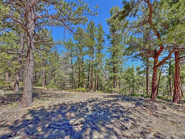 5029 Eagle Springs Rd, Westcliffe, CO 81252