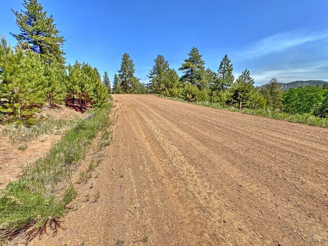 5029 Eagle Springs Rd, Westcliffe, CO 81252