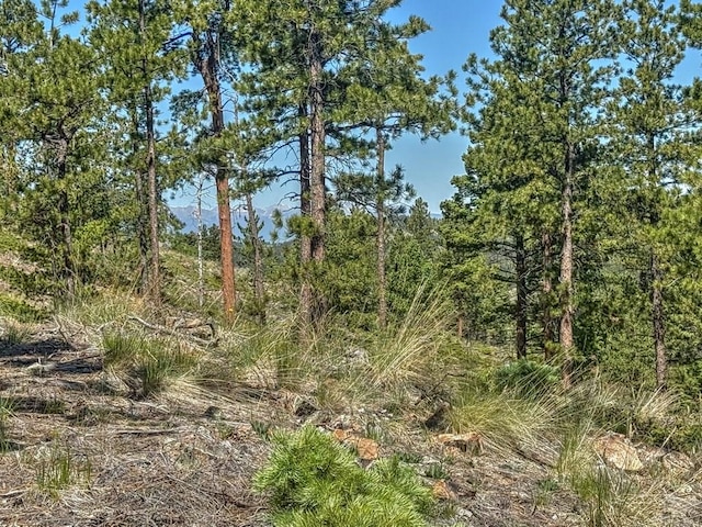 5029 Eagle Springs Rd, Westcliffe, CO 81252
