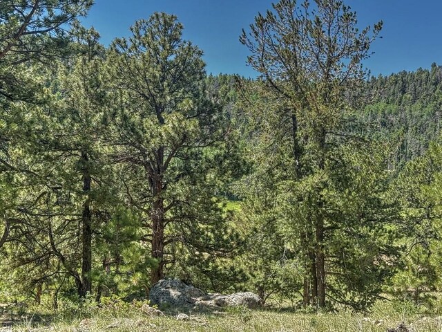 5029 Eagle Springs Rd, Westcliffe, CO 81252