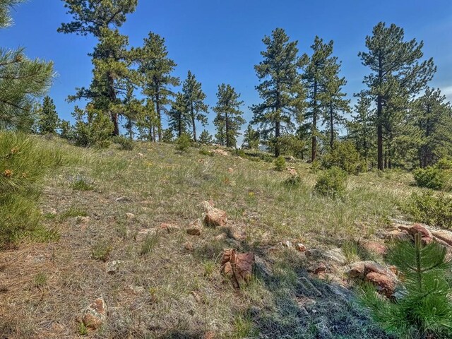 5029 Eagle Springs Rd, Westcliffe, CO 81252