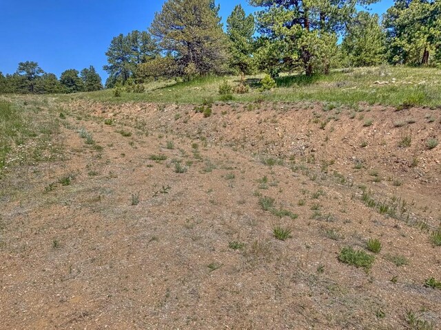5029 Eagle Springs Rd, Westcliffe, CO 81252
