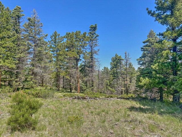 5029 Eagle Springs Rd, Westcliffe, CO 81252
