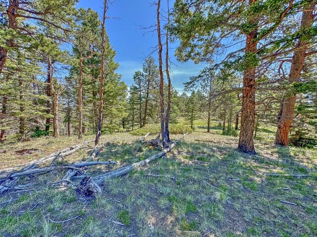 5029 Eagle Springs Rd, Westcliffe, CO 81252