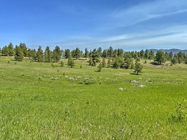 5029 Eagle Springs Rd, Westcliffe, CO 81252