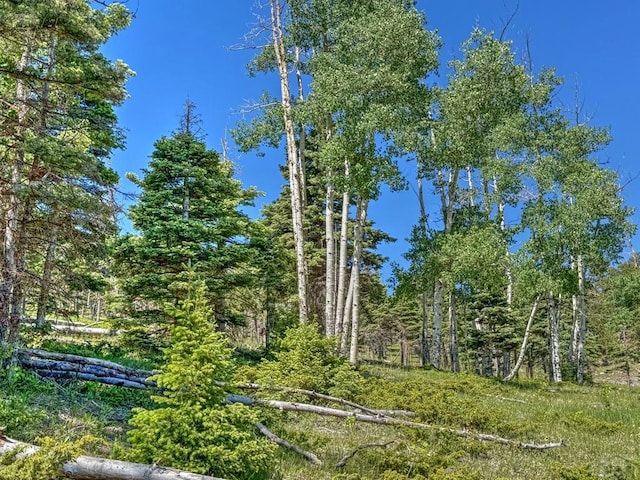 5029 Eagle Springs Rd, Westcliffe, CO 81252