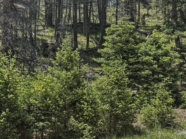 5029 Eagle Springs Rd, Westcliffe, CO 81252