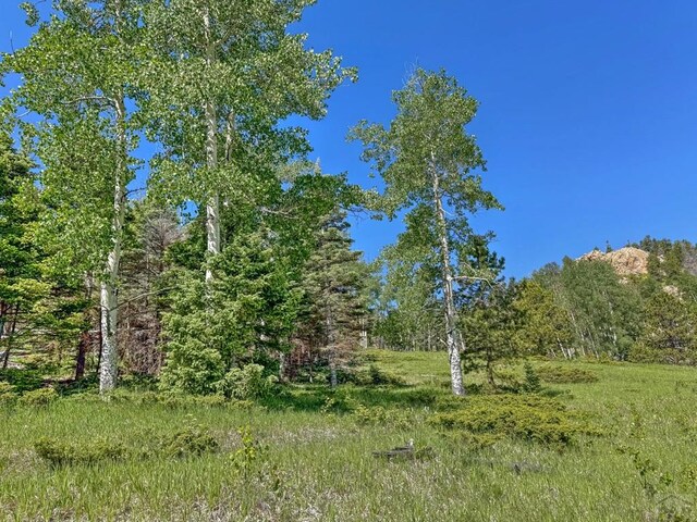 5029 Eagle Springs Rd, Westcliffe, CO 81252