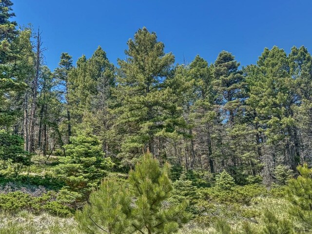 5029 Eagle Springs Rd, Westcliffe, CO 81252