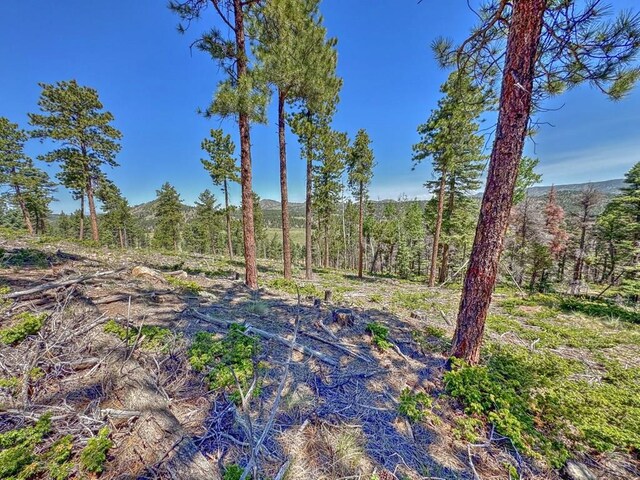 5029 Eagle Springs Rd, Westcliffe, CO 81252